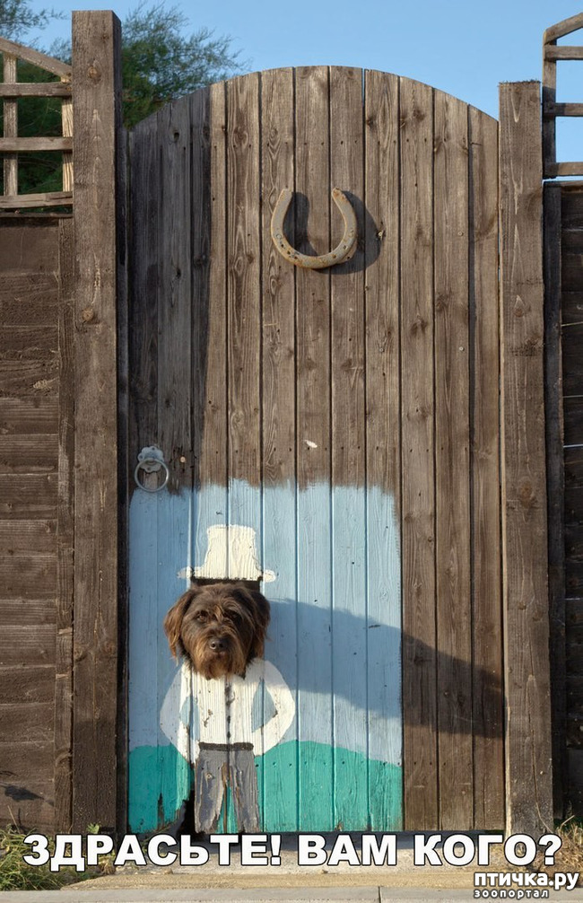 ���� 24: ������� � ������ ������ 2