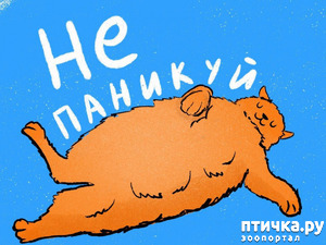 ����: � ������������ � ��� �������