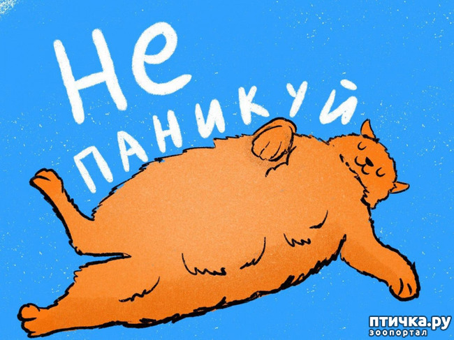 ���� 1: � ������������ � ��� �������