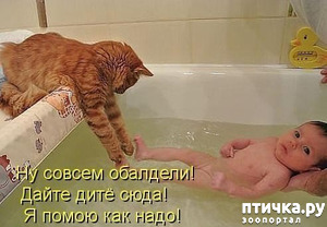 ����: ������ ��������