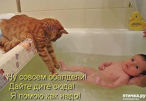 ���� 1: ������ ��������