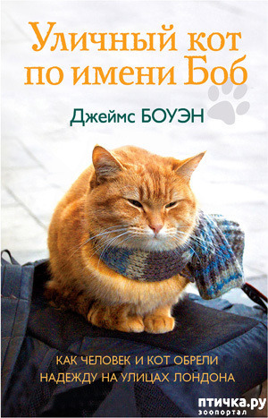 ���� 2: ��� ��� ��� ������� ����� ������ �������.