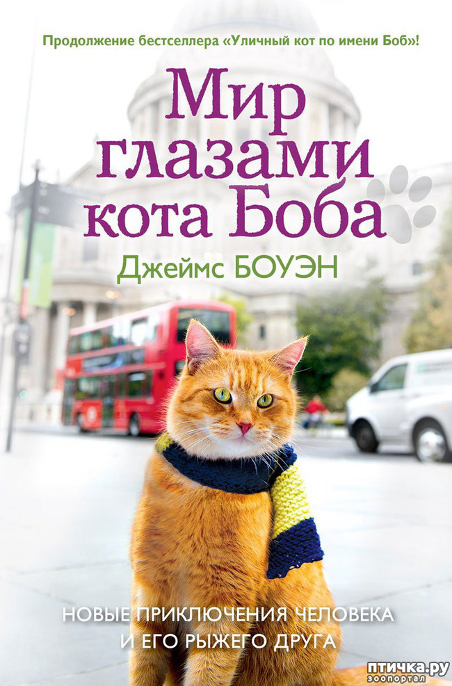 ���� 3: ��� ��� ��� ������� ����� ������ �������.