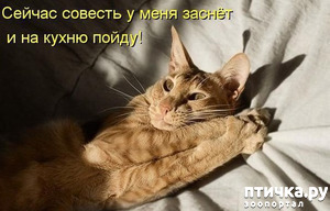 ����: ������� �����