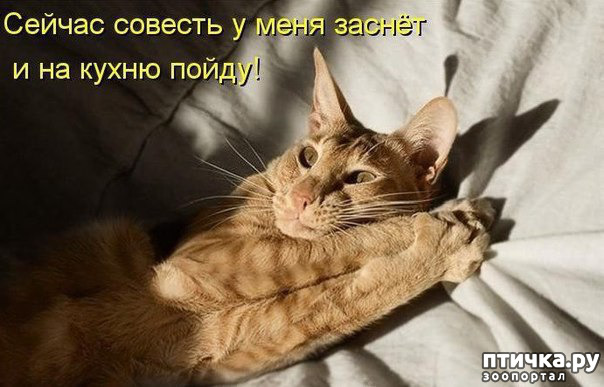 ���� 1: ������� �����