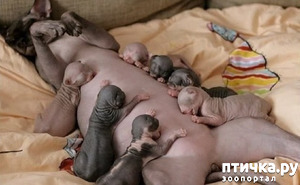 ����: �������� ������