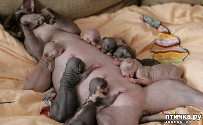 ���� 1: �������� ������