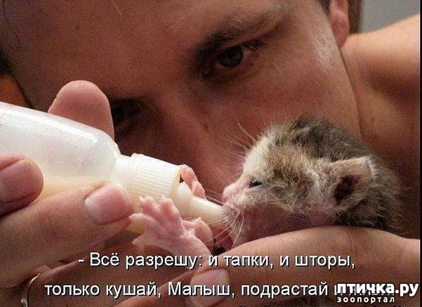 ���� 2: �������� ������