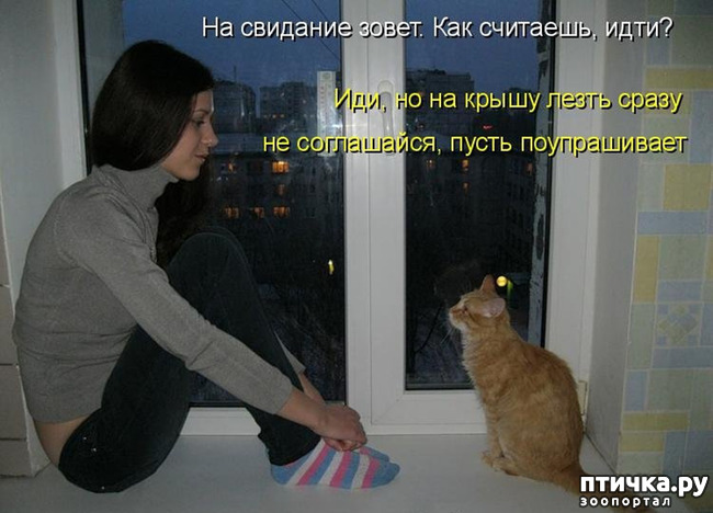 ���� 4: �������� ������