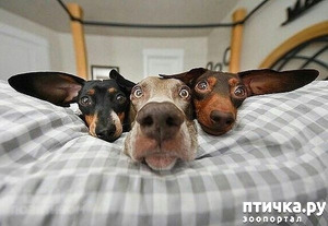 ����: ���������� �������� � ����� ����