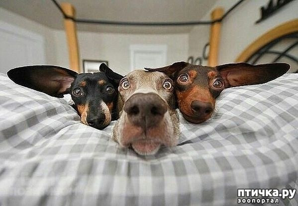 ���� 1: ���������� �������� � ����� ����