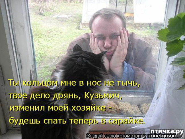 ���� 5: �������� ������