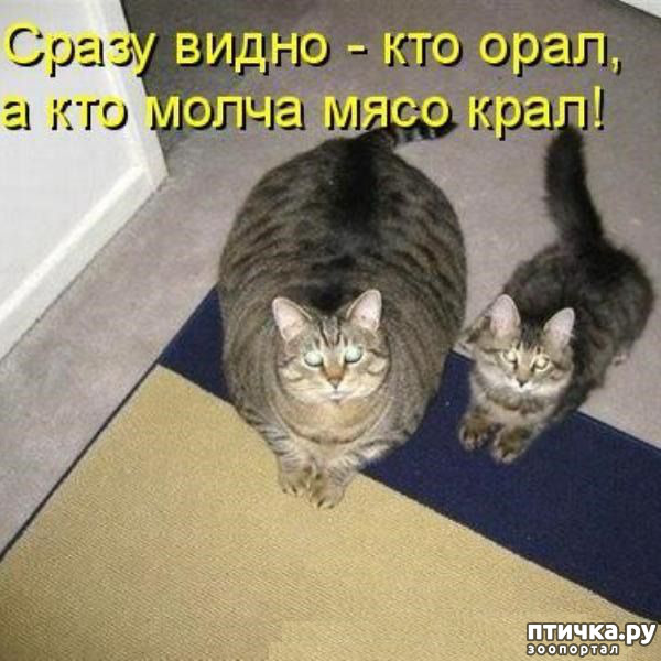 ���� 6: �������� ������