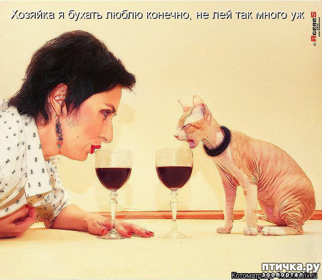 ���� 7: �������� ������