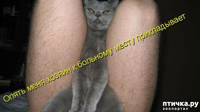 ���� 8: �������� ������