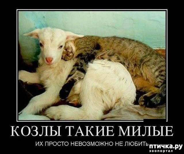 ���� 9: �������� ������