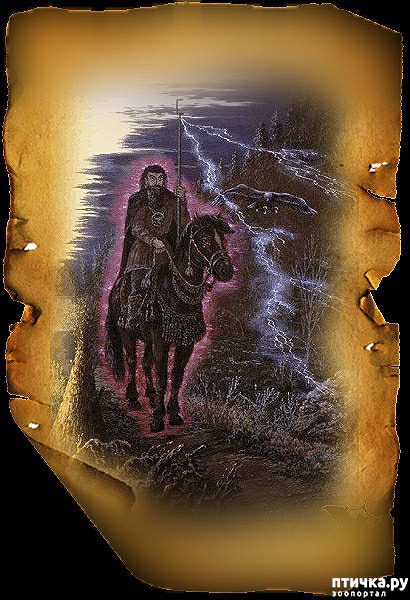 ���� 3: ��������