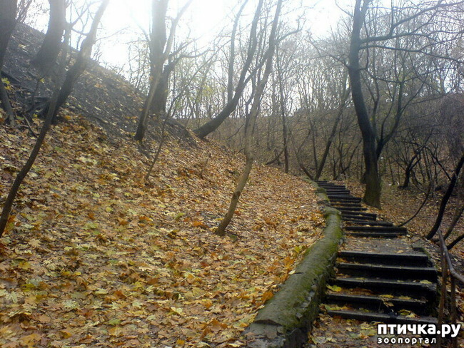 ���� 2: ����� ����