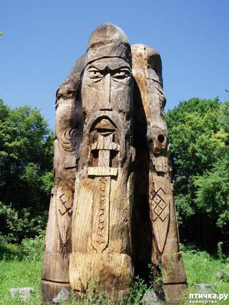 ���� 4: ����� ����