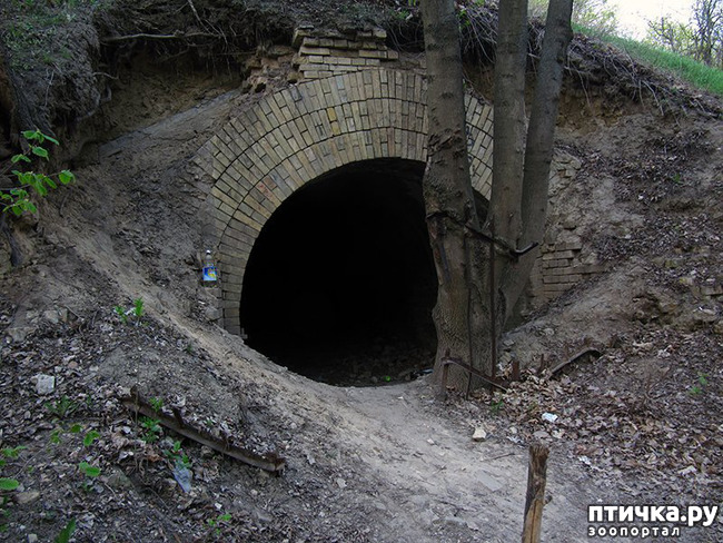 ���� 7: ����� ����