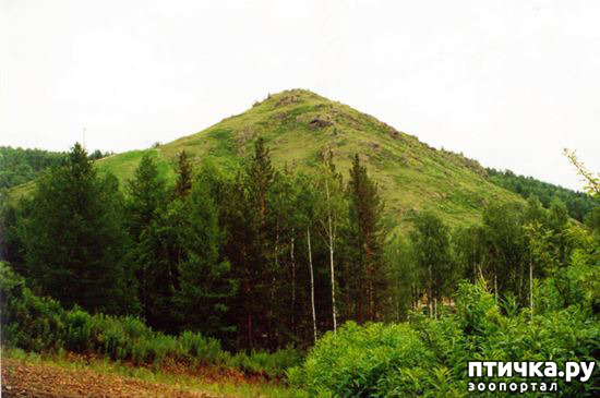 ���� 1: ����� ����