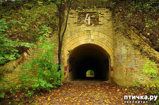 ���� 3: ����� ����