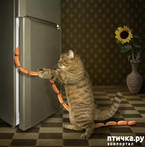 ����: ������� �����