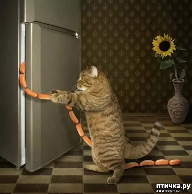 ���� 1: ������� �����