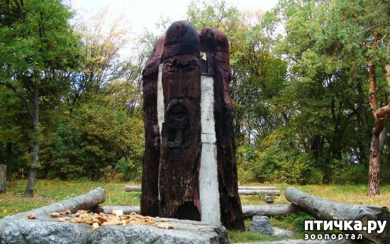 ���� 5: ����� ����