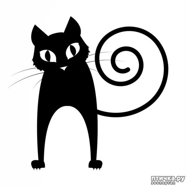 ���� 2: ����� ����� �����?