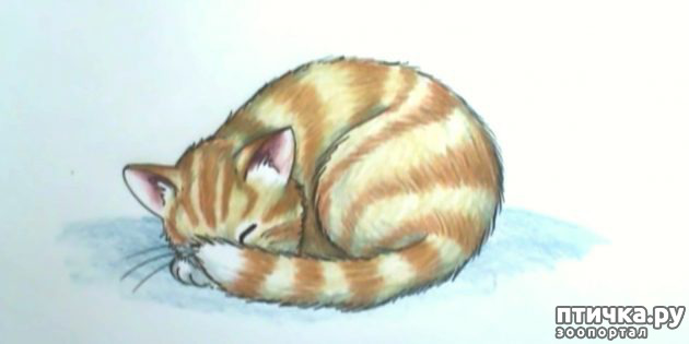 ���� 3: ����� ����� �����?