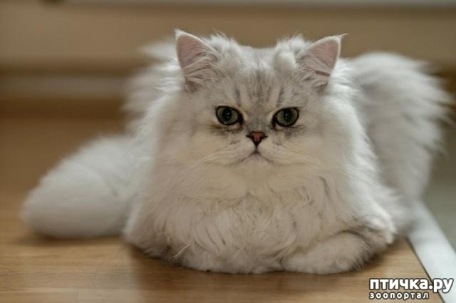 ���� 2: ���� (������� ������� ��������)