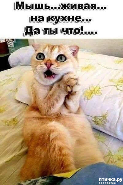 ���� 1: ������� �����