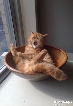 ����: ��������...