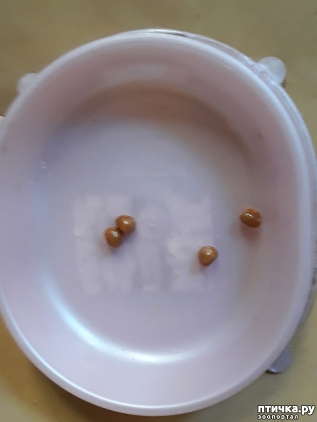  5:       ( 12)