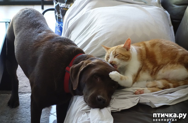 ���� 4: ��� ����� � ������� �����?