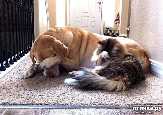 ���� 5: ��� ����� � ������� �����?