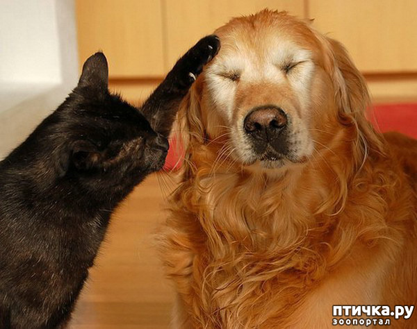 ���� 7: ��� ����� � ������� �����?