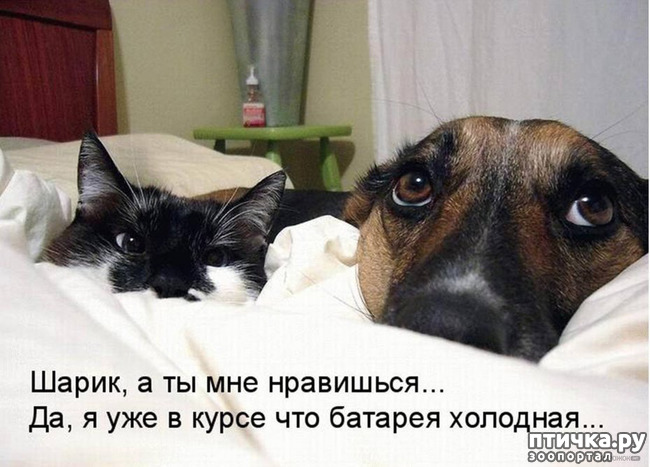 ���� 8: ��� ����� � ������� �����?