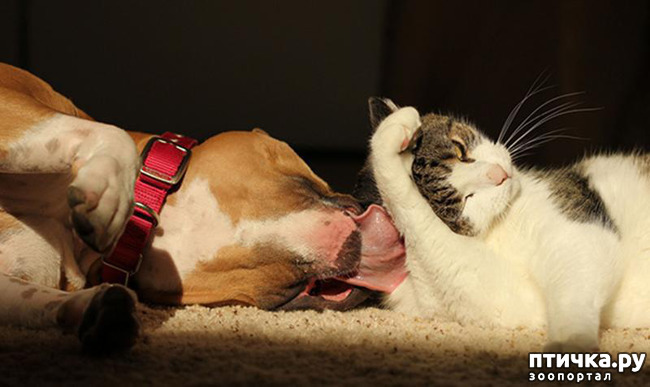 ���� 9: ��� ����� � ������� �����?