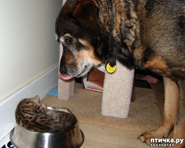 ���� 10: ��� ����� � ������� �����?