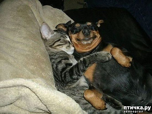 ���� 11: ��� ����� � ������� �����?