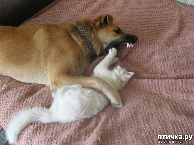 ���� 13: ��� ����� � ������� �����?