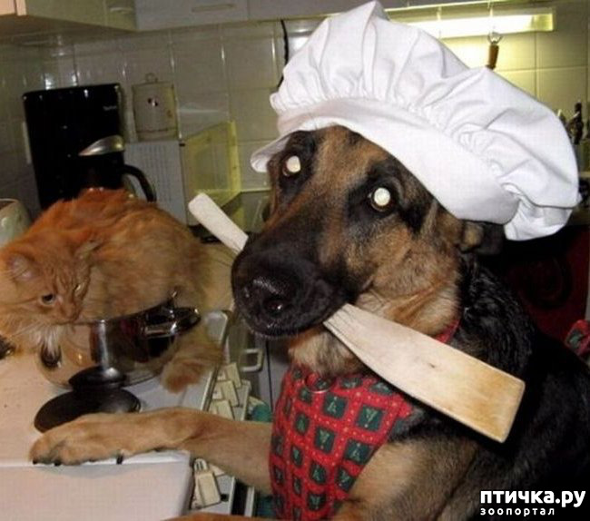 ���� 15: ��� ����� � ������� �����?