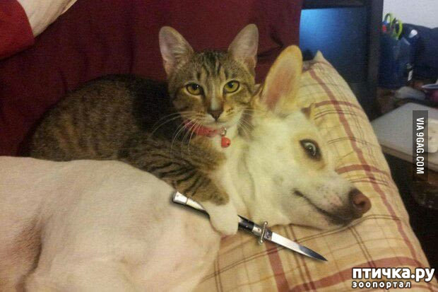 ���� 17: ��� ����� � ������� �����?