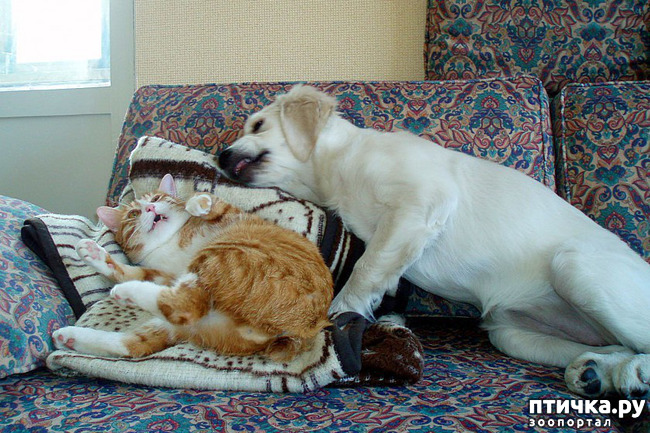 ���� 18: ��� ����� � ������� �����?