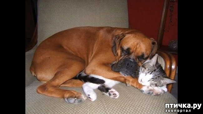 ���� 19: ��� ����� � ������� �����?