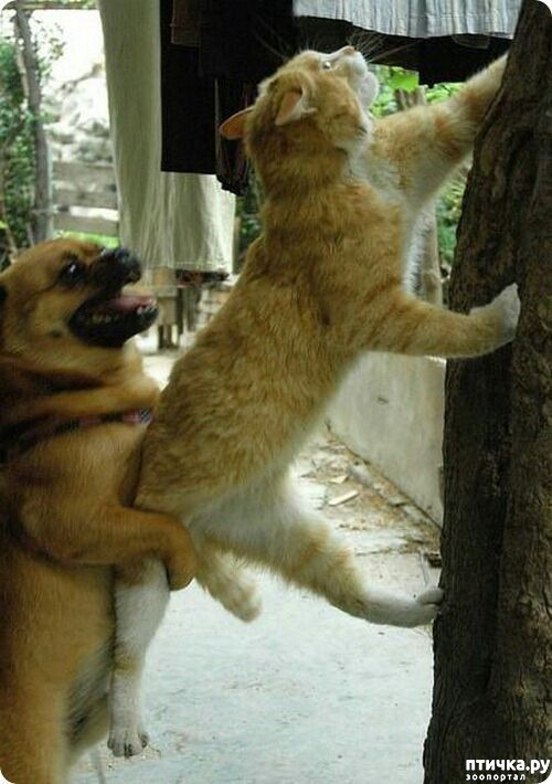 ���� 20: ��� ����� � ������� �����?