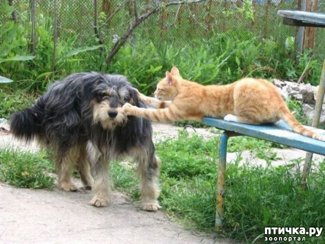 ���� 22: ��� ����� � ������� �����?