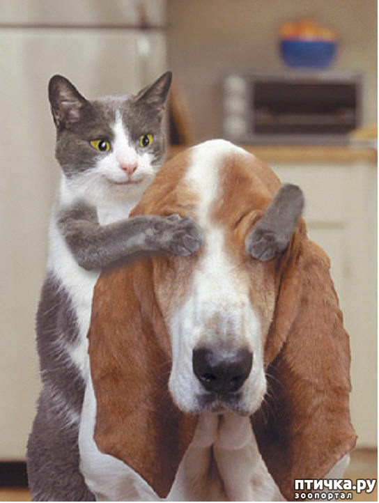 ���� 23: ��� ����� � ������� �����?